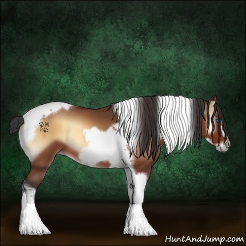 Horse Color:Bay Onyx Tobiano Frame