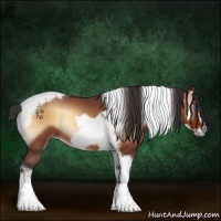 Horse Color:Bay Onyx Tobiano Frame 