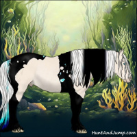 Horse Color:Silver Perlino Tobiano Rabicano