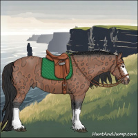 Horse Color:White Spotted Bay Ice 