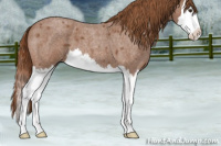 Horse Color:Red Roan Splash 