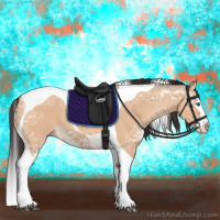 Horse Color:Bay Ice Dun Splash Tobiano 
