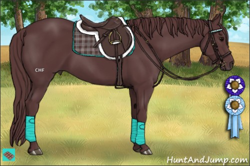 Horse Color:Chocolate Black 