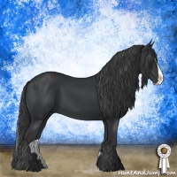Horse Color:Black Splash 