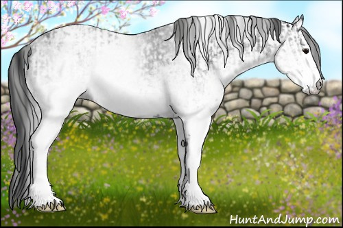 Horse Color:White Spotted Blue Roan Rabicano and Gray White Spotted Blue Roan Rabicano