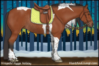 Horse Color:Bay Tobiano Rabicano