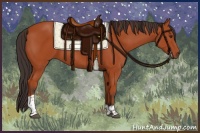 Horse Color:Bay Tobiano Rabicano