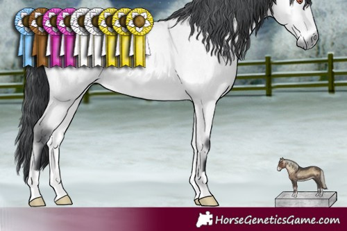 Horse Color:Bay Chinchilla Roan Onyx 