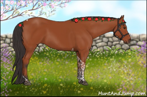 Horse Color:Brown Tobiano Rabicano 