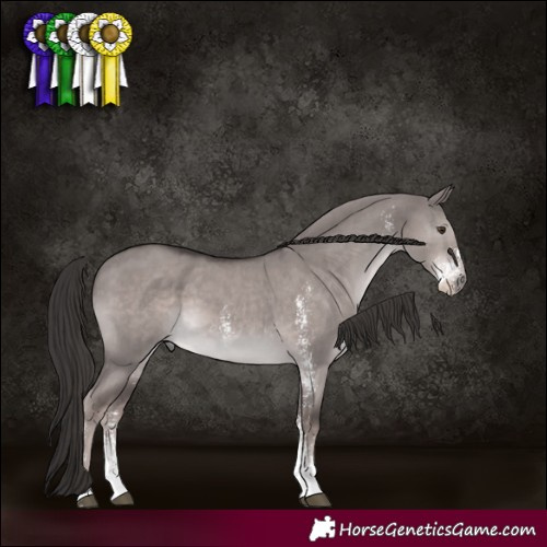Horse Color:Platinum Liver Red Dun Sabino