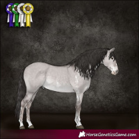 Horse Color:Platinum Liver Red Dun Sabino 