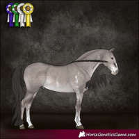 Horse Color:Platinum Liver Red Dun Sabino 
