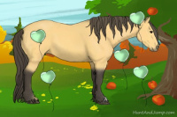 Horse Color:Buckskin