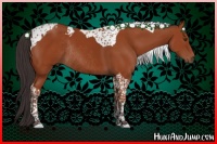 Horse Color:Brown Tobiano Rabicano