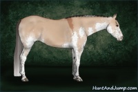 Horse Color:Bay Dun Splash Tobiano Rabicano 