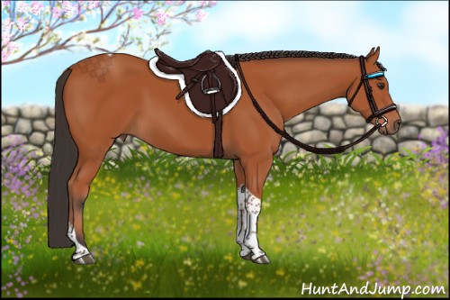 Horse Color:Bay Tobiano Rabicano