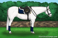Horse Color:Gray Bay Tobiano 