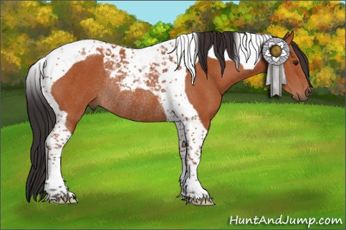 Horse Color:Bay Tobiano Rabicano