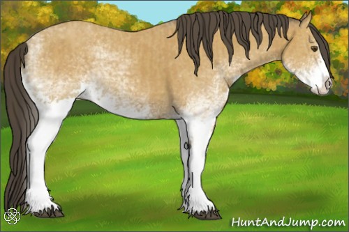 Horse Color:White Spotted Buckskin Splash  and White Spotted Buckskin Splash 