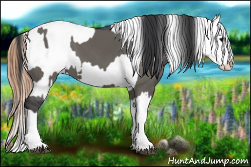 Horse Color:Grullo Sabino Splash and Grullo Sabino Splash Appaloosa
