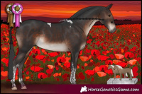 Horse Color:Brown Mushroom Tobiano Rabicano