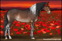 Horse Color:Brown Mushroom Tobiano Rabicano 