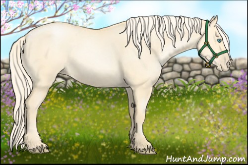 Horse Color:Palomino Pearl Dun