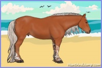 Horse Color:Silver Brown Tobiano Rabicano
