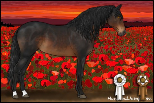 Horse Color:Gray Brown 