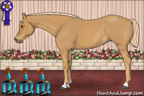 Horse Color:Palomino Roan 