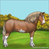 Horse Color:Chestnut Splash Frame 