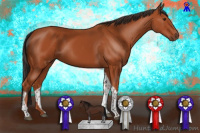 Horse Color:Bay Tobiano Rabicano 