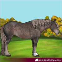 Horse Color:Platinum Liver Chestnut 