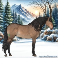 Horse Color:Brown Dun Rabicano 