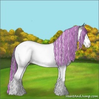 Horse Color:Painted Brown Chinchilla Splash Tobiano