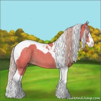 Horse Color:Watercolor Chocolate Palomino Splash Tobiano