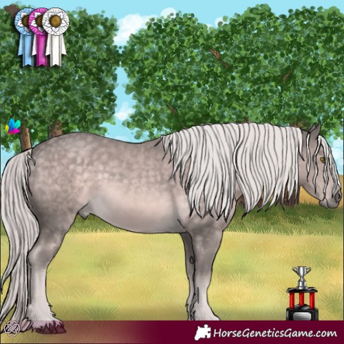 Horse Color:Platinum Chocolate Palomino 