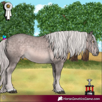 Horse Color:Platinum Chocolate Palomino