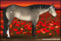 Horse Color:Gray Buckskin Dun 