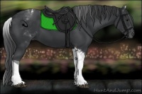 Horse Color:White Spotted Black Tobiano