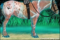 Horse Color:Thunderstruck Red Roan Appaloosa 