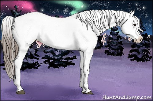 Horse Color:Black Varnish 