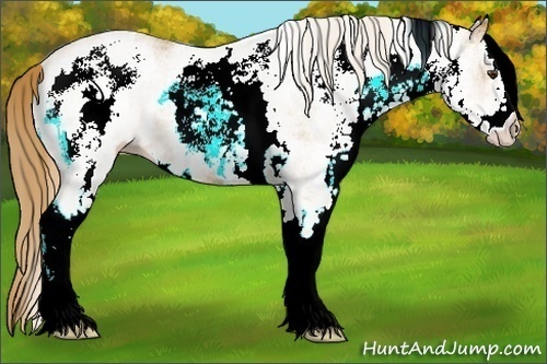 Horse Color:White Spotted Chestnut 