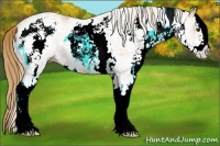 Horse Color:White Spotted Chestnut