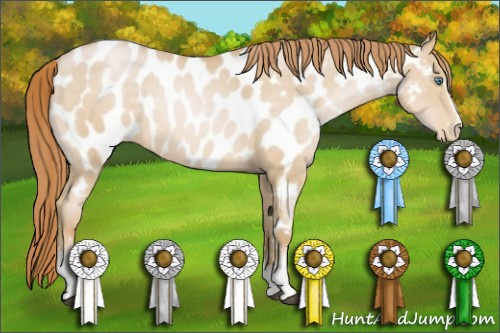 Horse Color:White Spotted Smoky Black Pearl Appaloosa Rabicano 