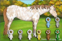 Horse Color:White Spotted Smoky Black Pearl Appaloosa Rabicano