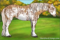 Horse Color:Chestnut Splash Frame  and Palomino Splash Frame 