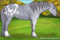 Horse Color:Watercolor Smoky Black Appaloosa 