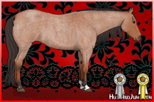 Horse Color:Bay Roan Sabino 