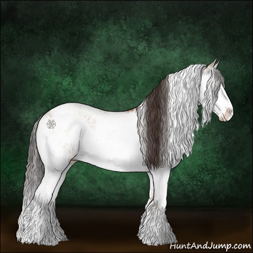 Horse Color:Bay Dun Sabino Rabicano  and Bay Dun Sabino Splash Rabicano 